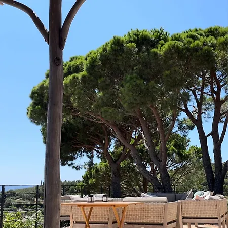 Villa Les 3 Pins - Spacious Escape With Private Pool And Panoramic Views Of The St-tropez Gulf *